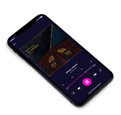 Premade Album Cover 3D View Cod Gray