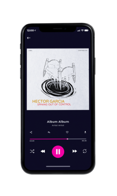Custom Album Cover on Phone View Gallery