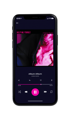 Custom Album Cover on Phone View Gondola