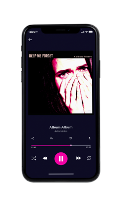 Custom Album Cover on Phone View Gondola
