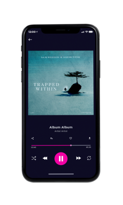 Custom Album Cover on Phone View Juniper