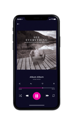 Custom Album Cover on Phone View Masala