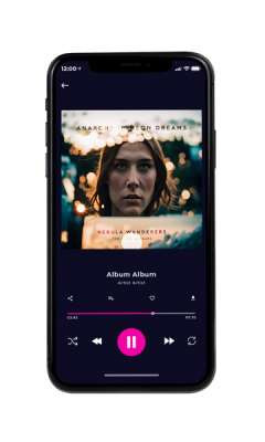 Custom Album Cover on Phone View Bunker