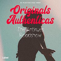 Pre Made Album Cover Pewter