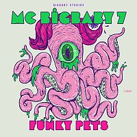 Pre Made Album Cover Pink Flare