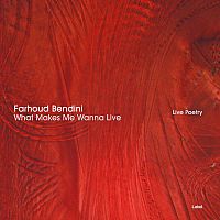 Pre Made Album Cover Roof Terracotta