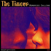 Pre Made Album Cover Jagger