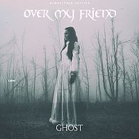 Pre Made Album Cover French Gray