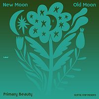 Pre Made Album Cover Jungle Green