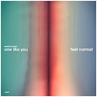 Pre Made Album Cover Oslo Gray