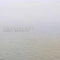 Pre Made Album Cover French Gray