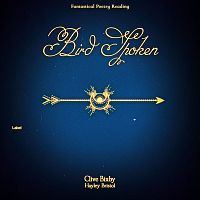 Pre Made Album Cover Blue Zodiac