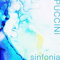 Pre Made Album Cover Picton Blue