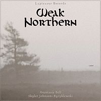 Pre Made Album Cover Silver Rust