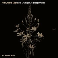 Pre Made Album Cover Black