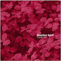 Pre Made Album Cover Claret