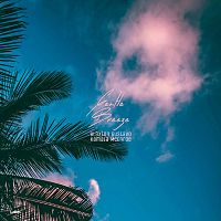 Pre Made Album Cover Chathams Blue