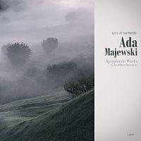 Pre Made Album Cover Pale Slate