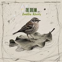 Pre Made Album Cover Sisal