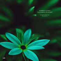Pre Made Album Cover Racing Green