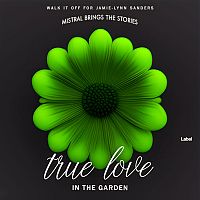 Pre Made Album Cover Green Kelp