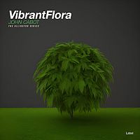 Pre Made Album Cover Green Kelp