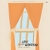 Pre Made Album Cover Satin Linen