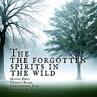Pre Made Album Cover Jungle Mist