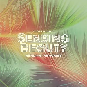 Premade Album Cover Donkey Brown - ID 4647