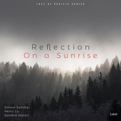 Pre Made Album Cover Dove Gray