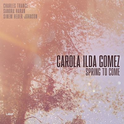 Pre Made Album Cover Oriental Pink