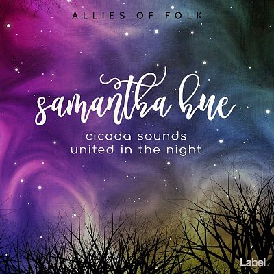 Pre Made Album Cover Mulled Wine