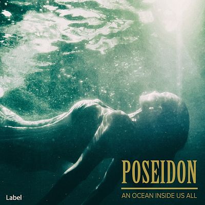 Pre Made Album Cover Foggy Gray