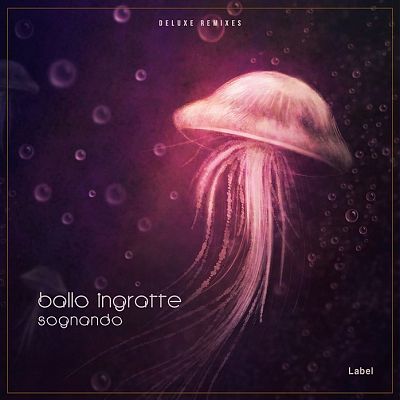 Pre Made Album Cover Gondola