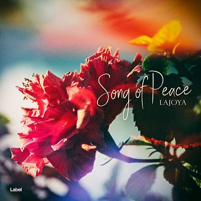 Pre Made Album Cover Silk