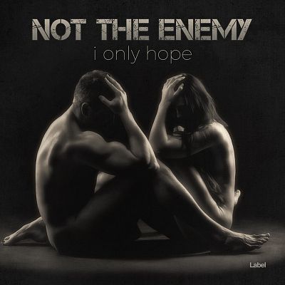 Pre Made Album Cover Tuatara