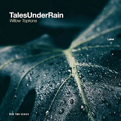 Pre Made Album Cover Firefly