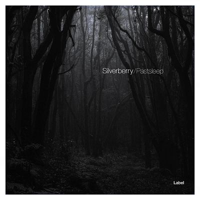 Pre Made Album Cover Cod Gray