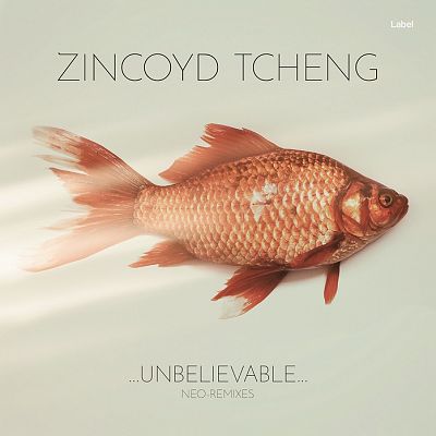 Pre Made Album Cover Moon Mist