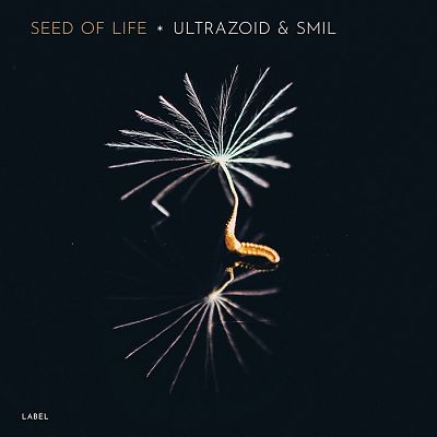 Pre Made Album Cover Bunker