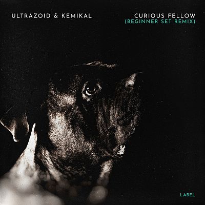 Pre Made Album Cover Cod Gray