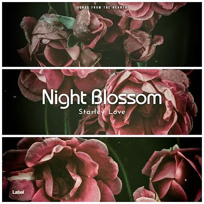 Pre Made Album Cover Oil