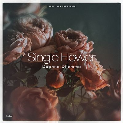 Pre Made Album Cover Merlin