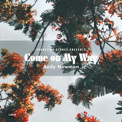 Pre Made Album Cover Pumice