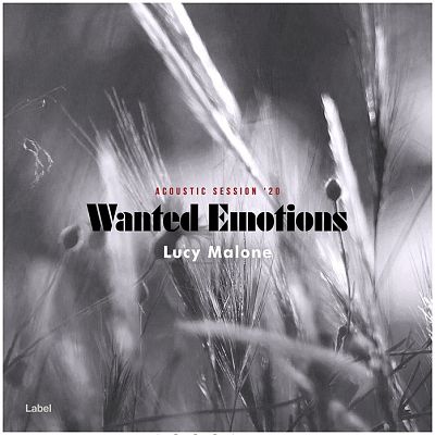 Pre Made Album Cover Salt Box