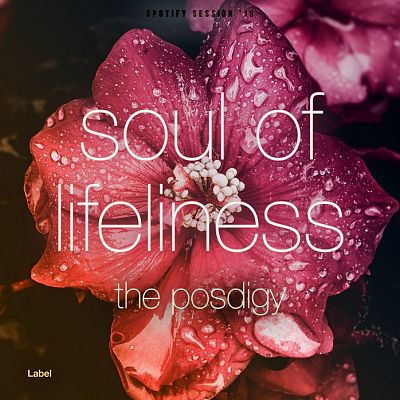 Pre Made Album Cover Hippie Pink