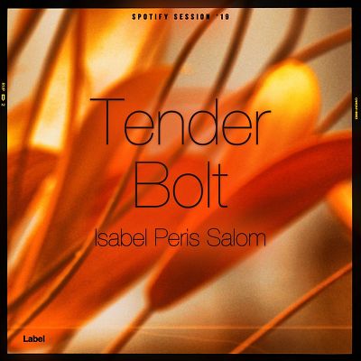 Pre Made Album Cover Rock Spray