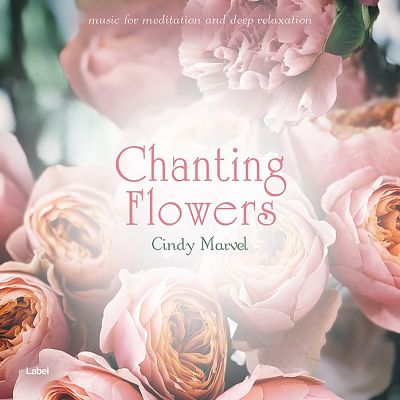 Pre Made Album Cover Dust Storm