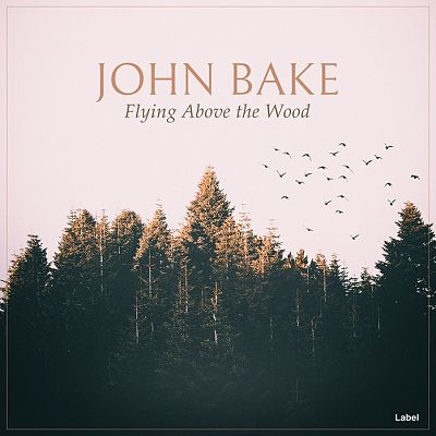 Pre Made Album Cover Bizarre