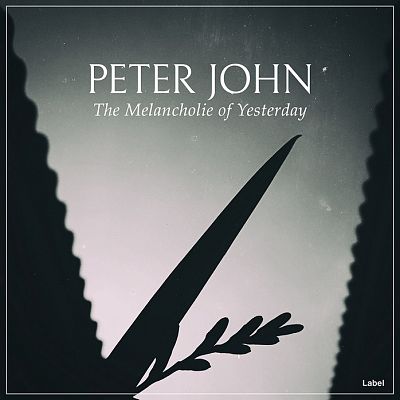 Pre Made Album Cover Pale Slate